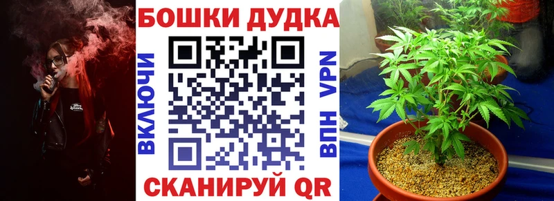 Как найти наркотики Малоархангельск КОКАИН Меф ГАШИШ Alpha PVP гидра вход Конопля