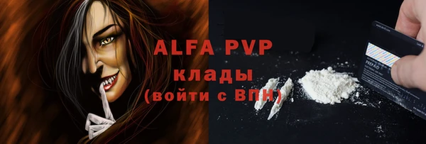 шишки Сатка