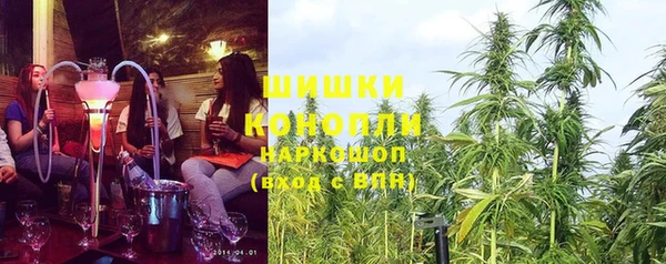 дурь Арсеньев