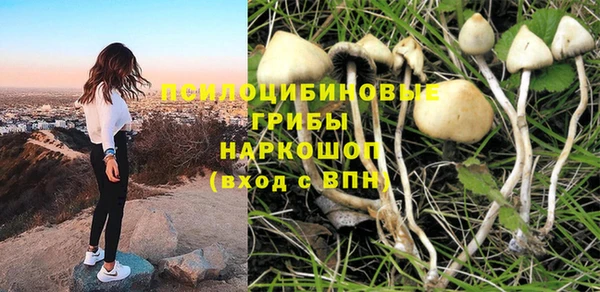 дурь Арсеньев